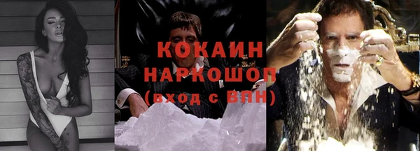 шишки Киренск