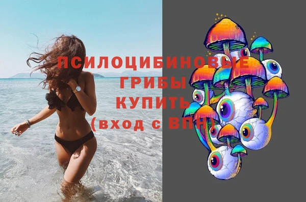 шишки Киренск