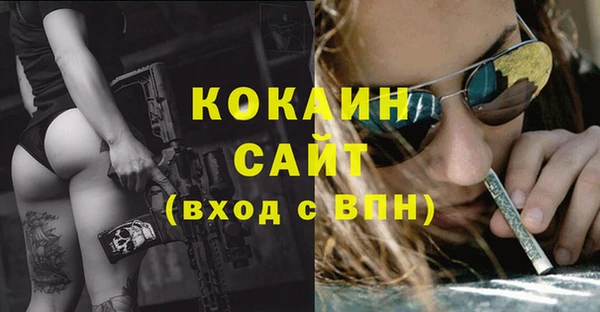 шишки Киренск