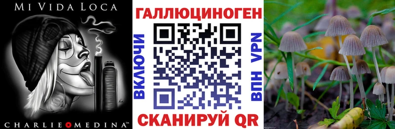 Купить закладки Шенкурск Галлюциногенные грибы Magic Shrooms